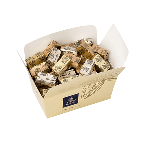 Balotin Kutular - Karışık Gianduja Pralin